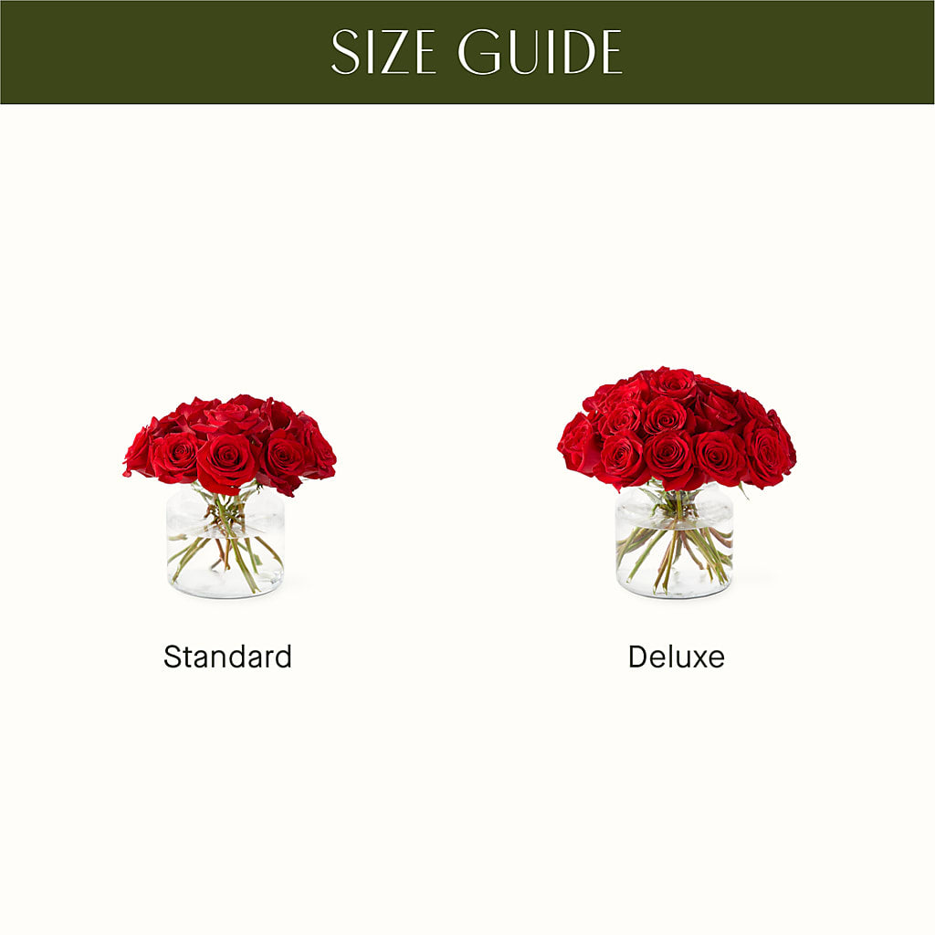 Cupid's Embrace Red Rose Bouquet –  Flora Ventures Llc, Newmarket NH