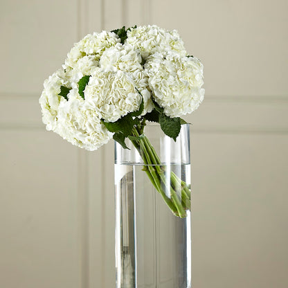 White Hydrangea Hand-Tied Bouquet –  Flora Ventures Llc, Newmarket NH