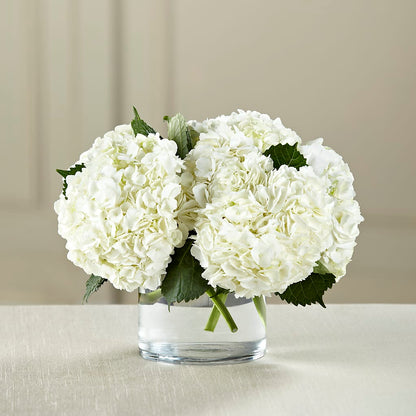 White Hydrangea Bouquet –  Flora Ventures Llc, Newmarket NH